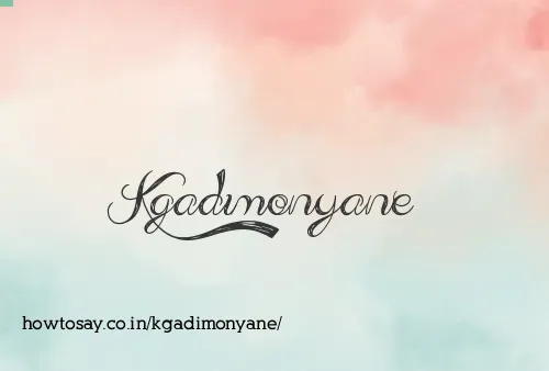 Kgadimonyane