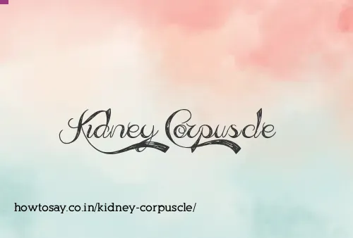 Kidney Corpuscle