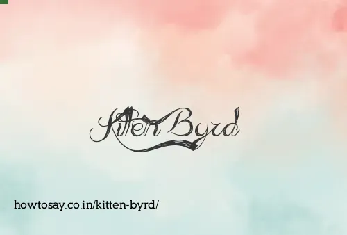 Kitten Byrd