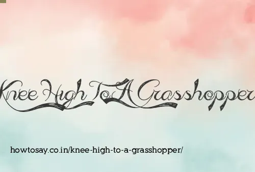 Knee High To A Grasshopper
