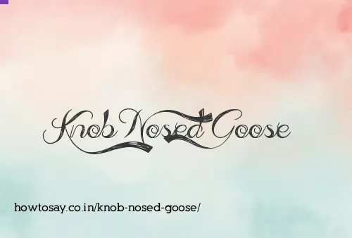 Knob Nosed Goose