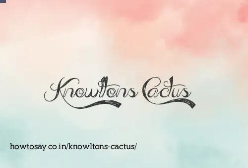 Knowltons Cactus