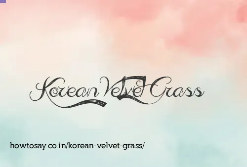 Korean Velvet Grass