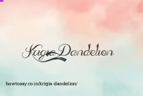 Krigia Dandelion