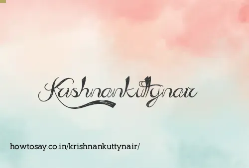 Krishnankuttynair