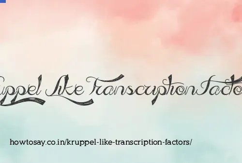 Kruppel Like Transcription Factors