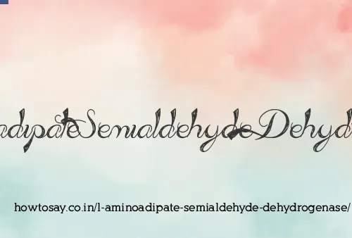 L Aminoadipate Semialdehyde Dehydrogenase