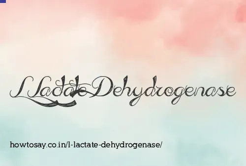 L Lactate Dehydrogenase
