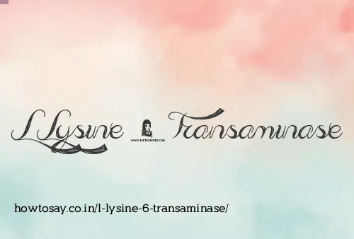 L Lysine 6 Transaminase