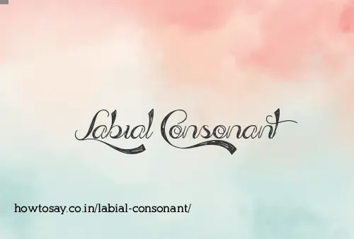 Labial Consonant