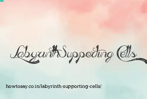 Labyrinth Supporting Cells