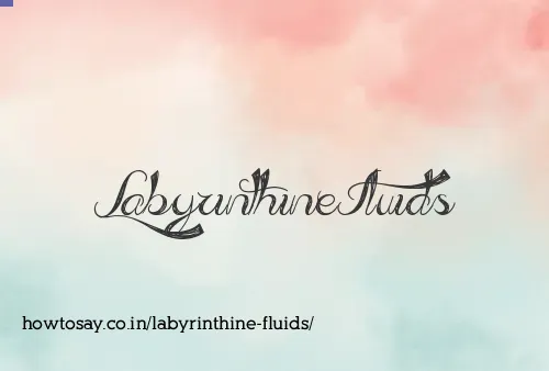 Labyrinthine Fluids