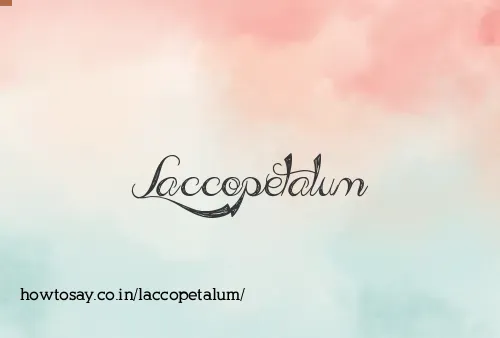 Laccopetalum