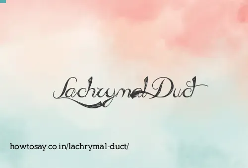 Lachrymal Duct