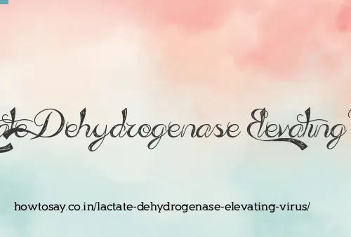 Lactate Dehydrogenase Elevating Virus