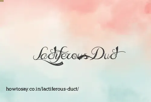 Lactiferous Duct