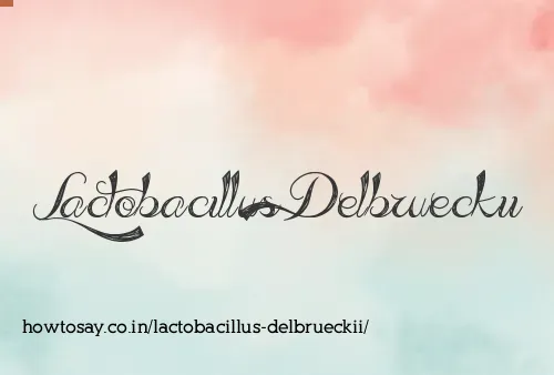 Lactobacillus Delbrueckii