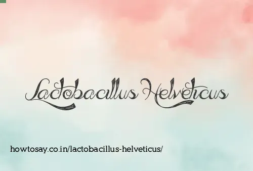 Lactobacillus Helveticus