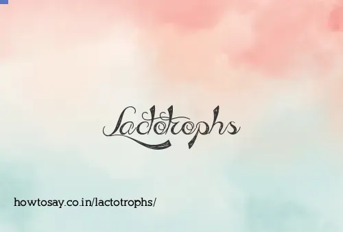 Lactotrophs
