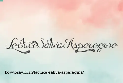 Lactuca Sativa Asparagina