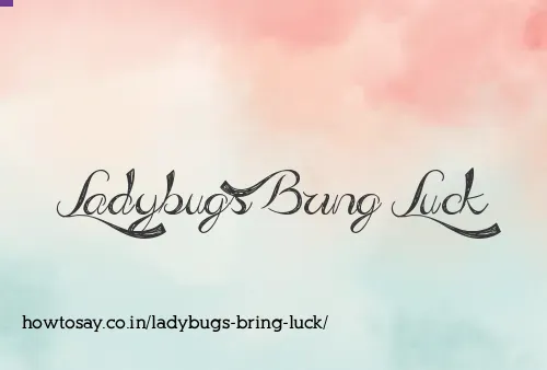 Ladybugs Bring Luck