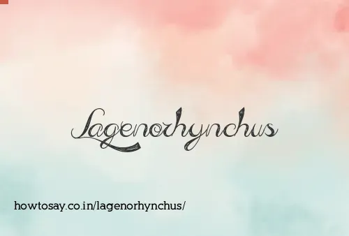 Lagenorhynchus