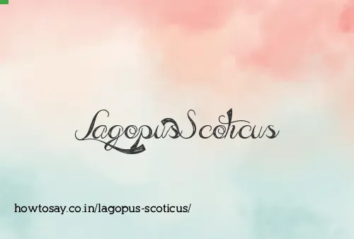 Lagopus Scoticus