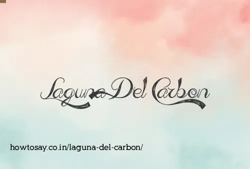 Laguna Del Carbon