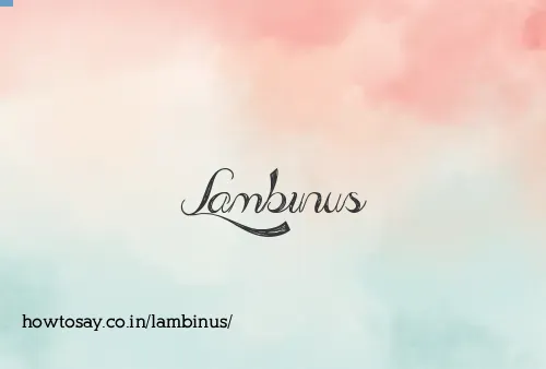Lambinus