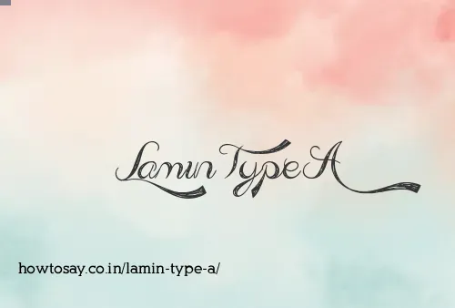 Lamin Type A