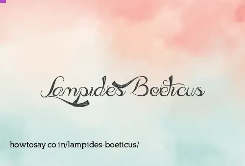 Lampides Boeticus