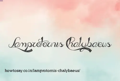 Lamprotornis Chalybaeus