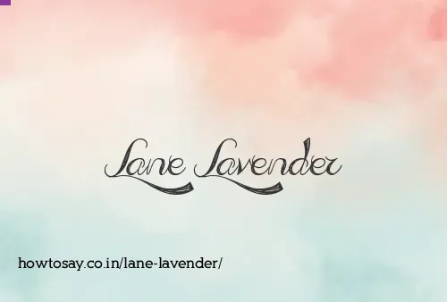 Lane Lavender