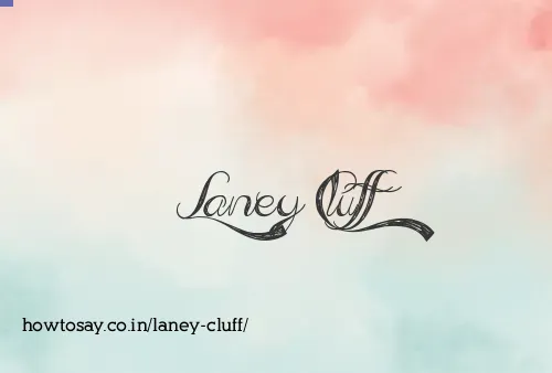 Laney Cluff