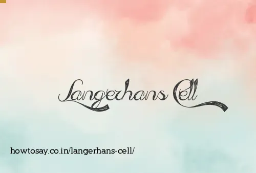 Langerhans Cell