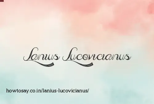 Lanius Lucovicianus