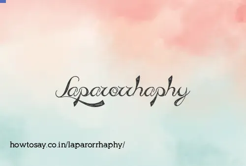 Laparorrhaphy