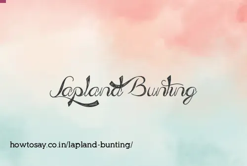 Lapland Bunting