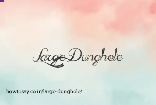 Large Dunghole