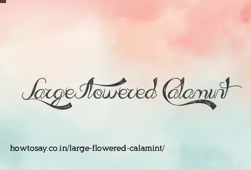 Large Flowered Calamint