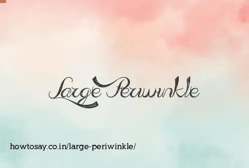 Large Periwinkle