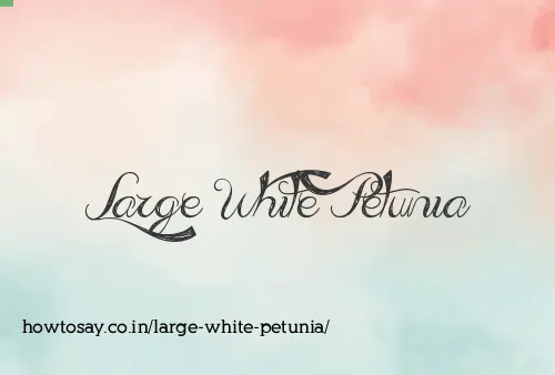 Large White Petunia
