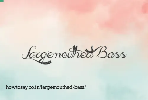 Largemouthed Bass