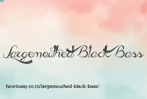 Largemouthed Black Bass