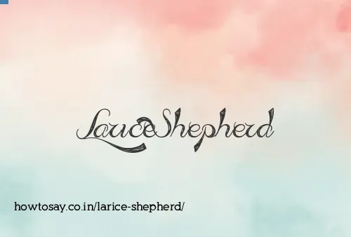 Larice Shepherd