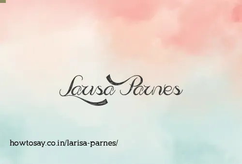 Larisa Parnes