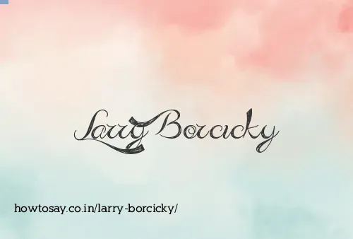 Larry Borcicky