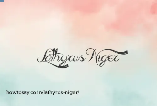 Lathyrus Niger
