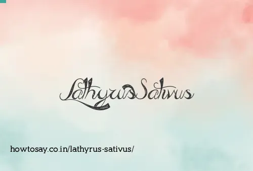 Lathyrus Sativus