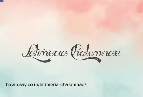 Latimeria Chalumnae